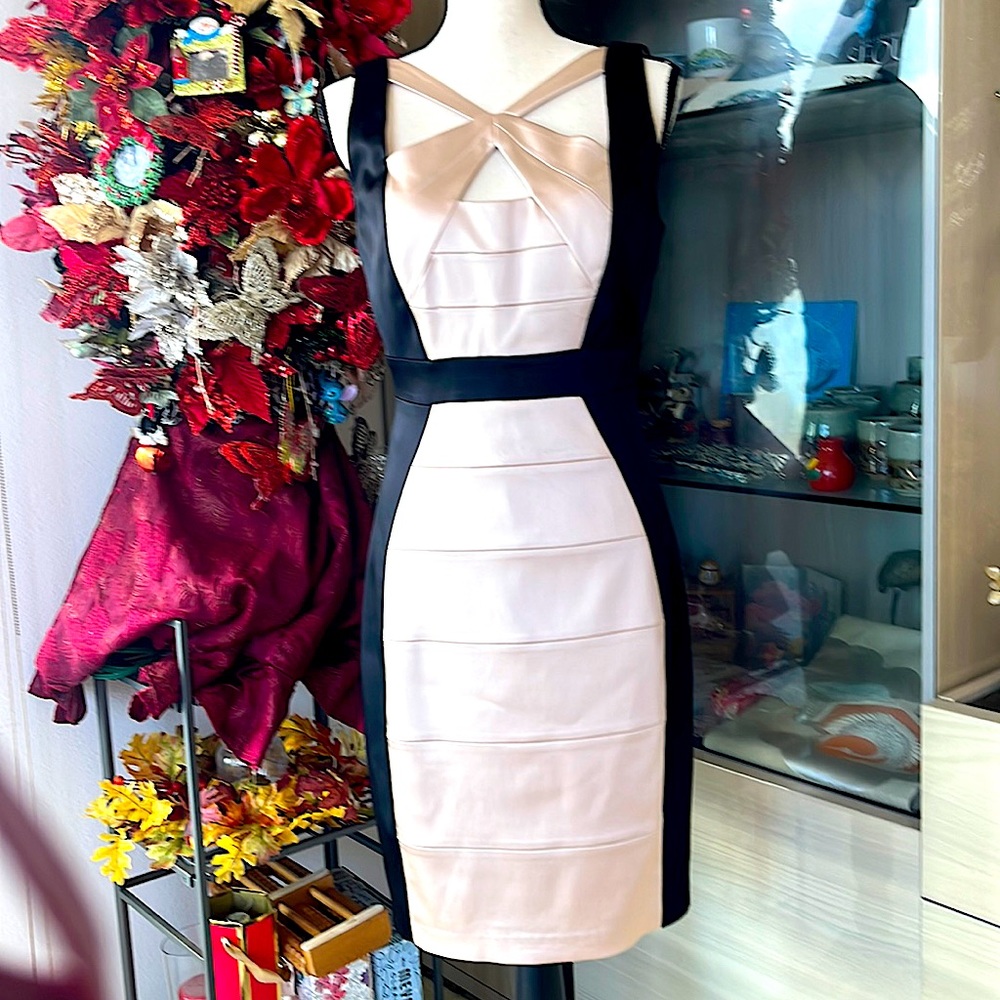 JAX Sexy and Flattering Dress